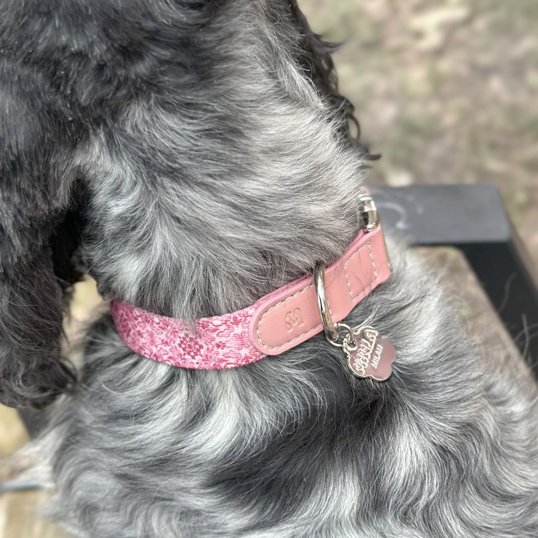 Dog Collar - Sicily