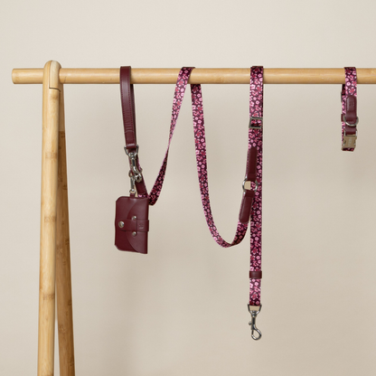 Dog Collar - Love in Bloom