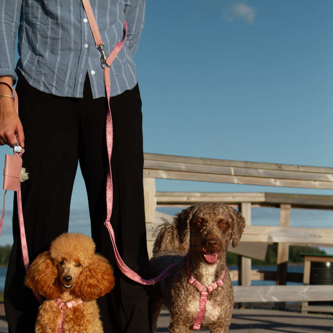 Harness walk set - Sicily