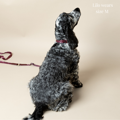 Dog Collar - Love in Bloom
