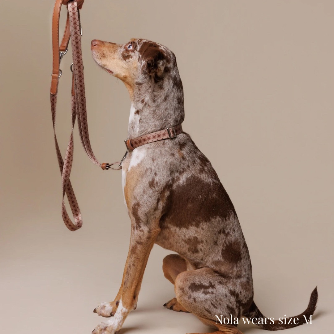 Multifunction leash - Timeless Mocha – MINLA Multifunction leash - Timeless Mocha – MINLA