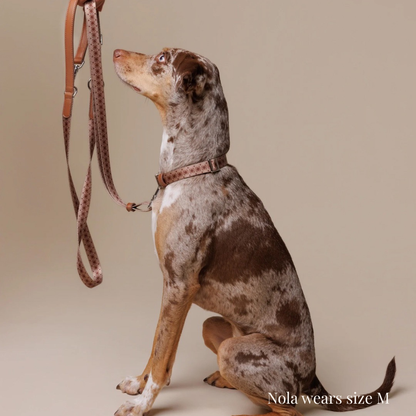 Multifunction leash - Timeless Mocha