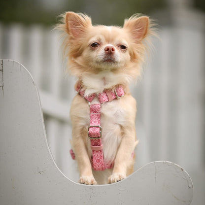 Dog Harness - Sicily