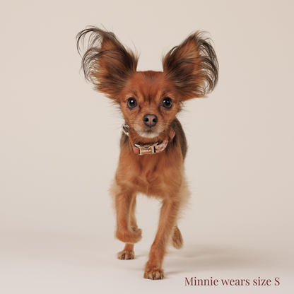 Dog Collar - Timeless Mocha