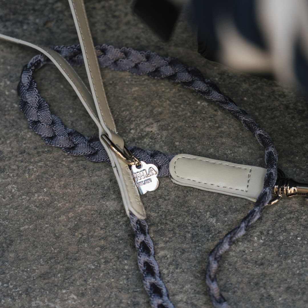 Braid Dog Leash - Moon