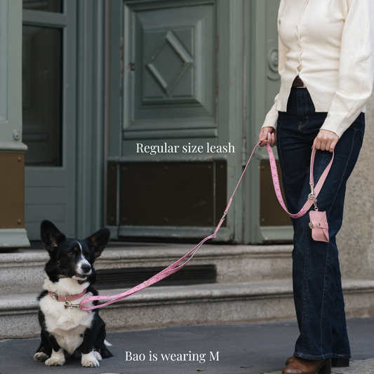 Collar walk set - Sicily