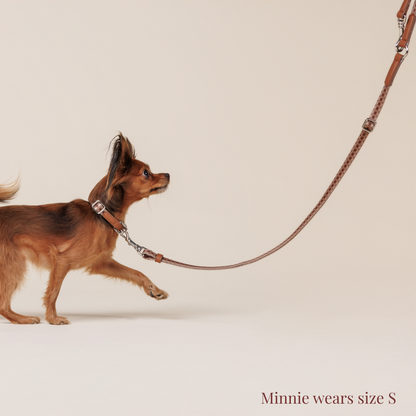 Multifunction leash - Timeless Mocha