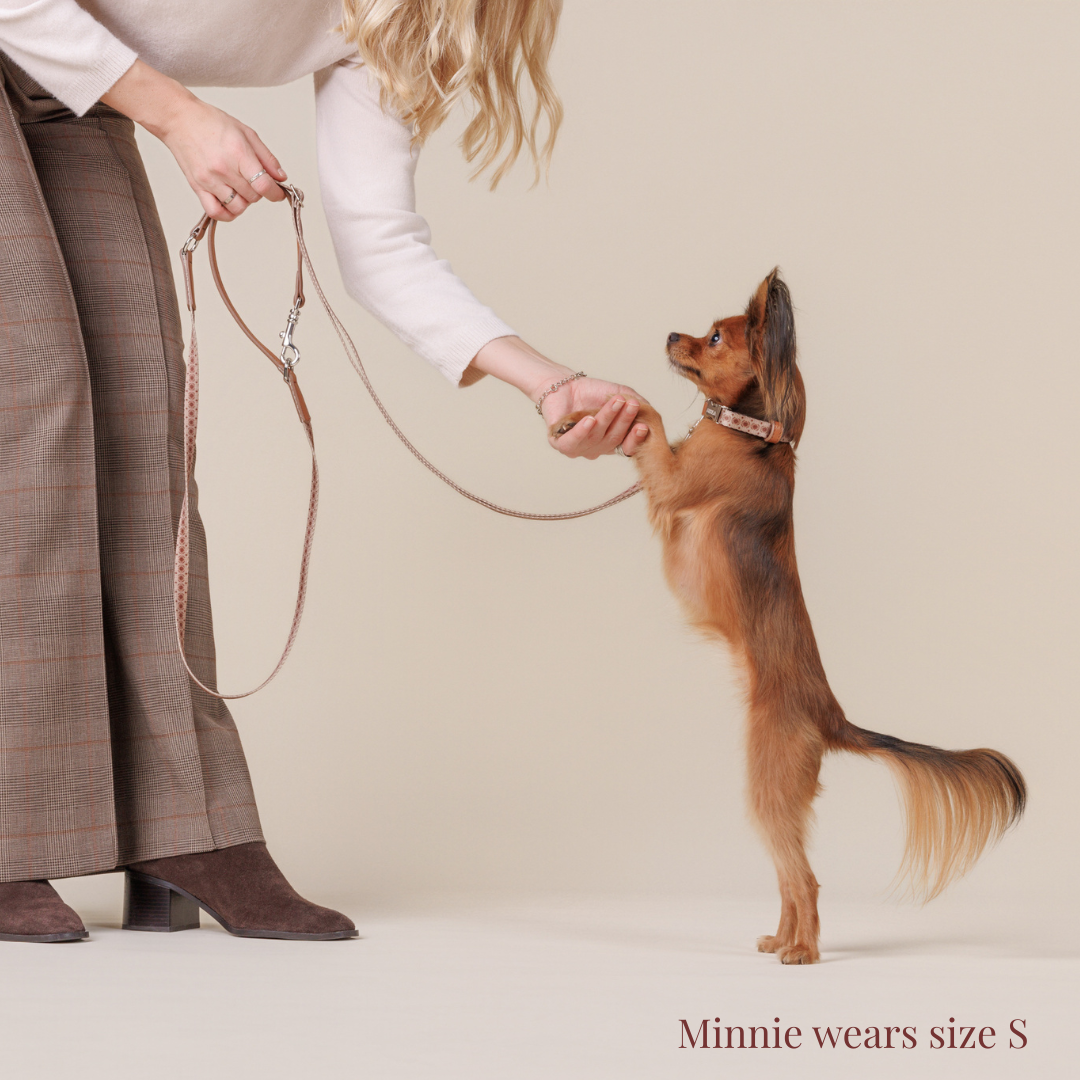 Multifunction leash - Timeless Mocha
