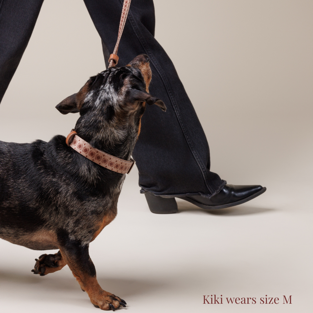 Dog Collar - Timeless Mocha