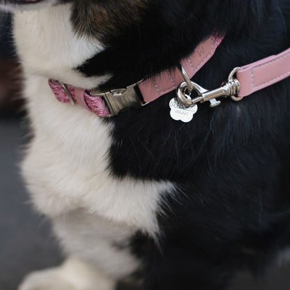 Dog Collar - Sicily