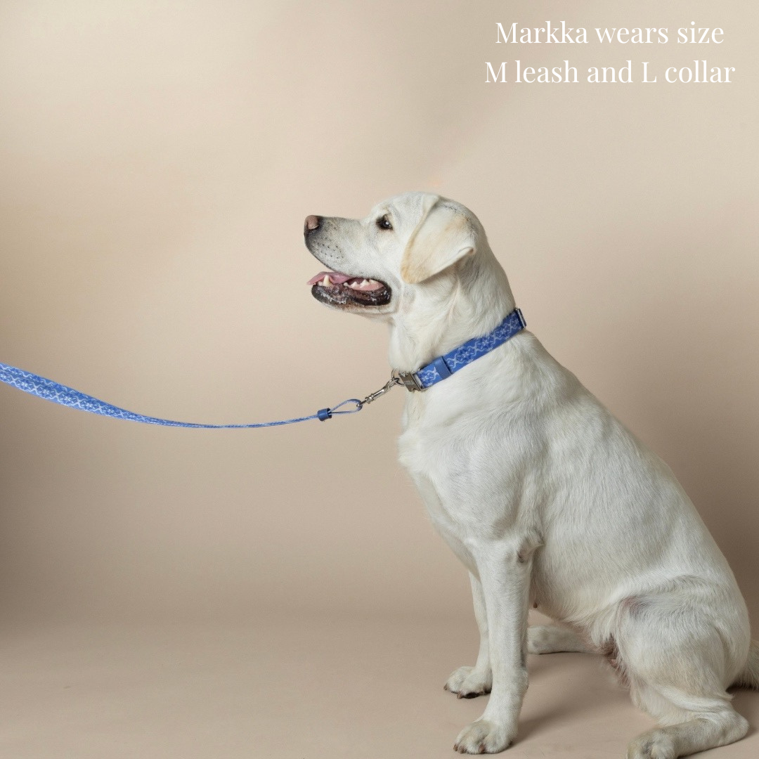 Dog Collar - Cotton Sky