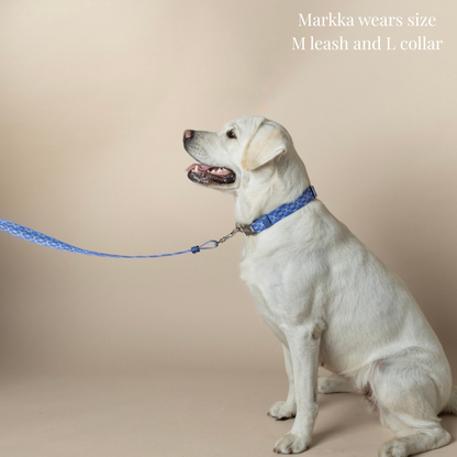Dog Collar - Cotton Sky