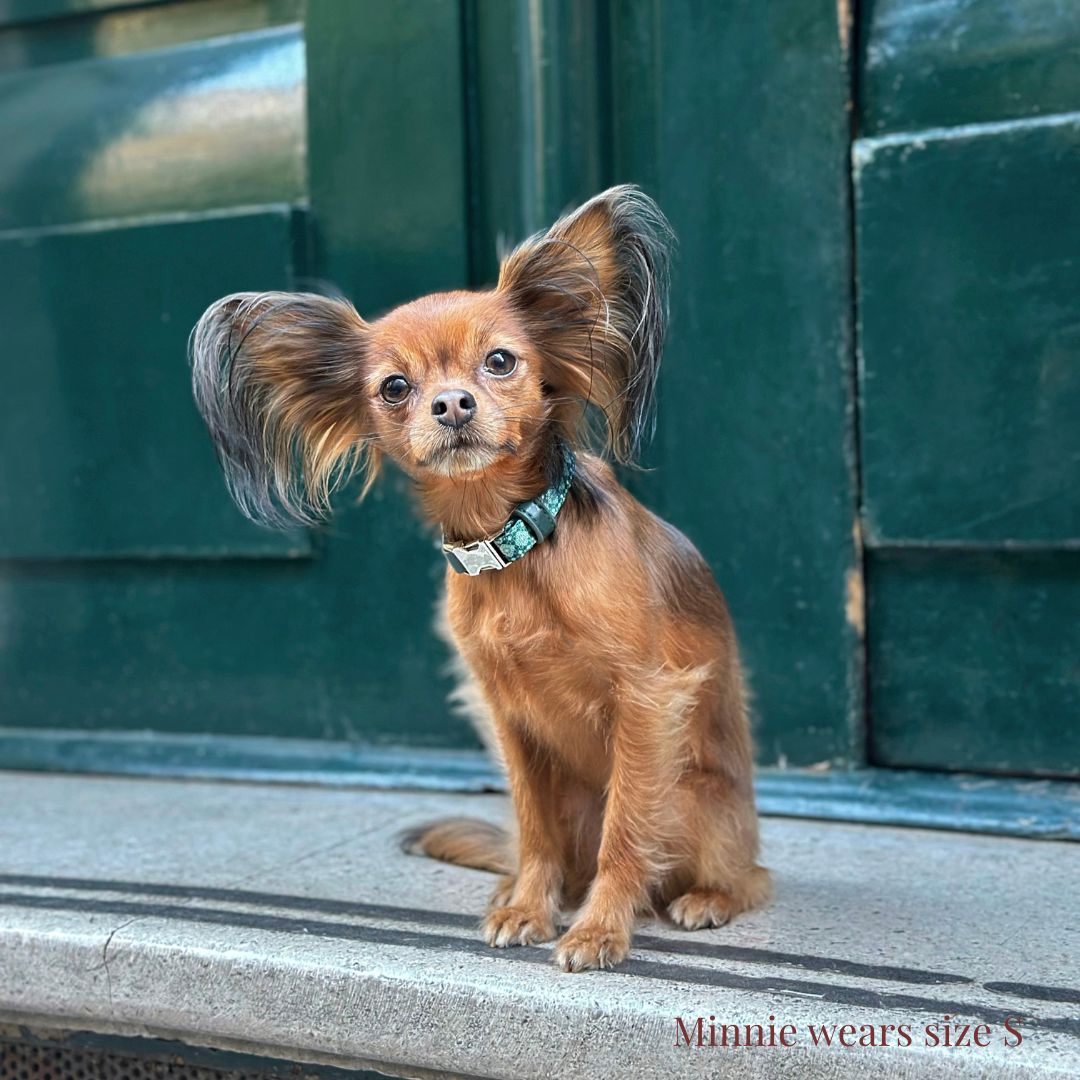 Dog Collar - Forest Gems