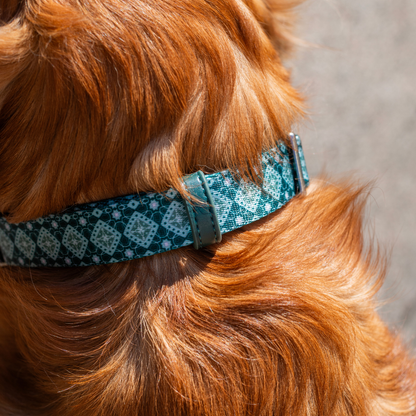 Koiran kaulapanta - Forest Gems