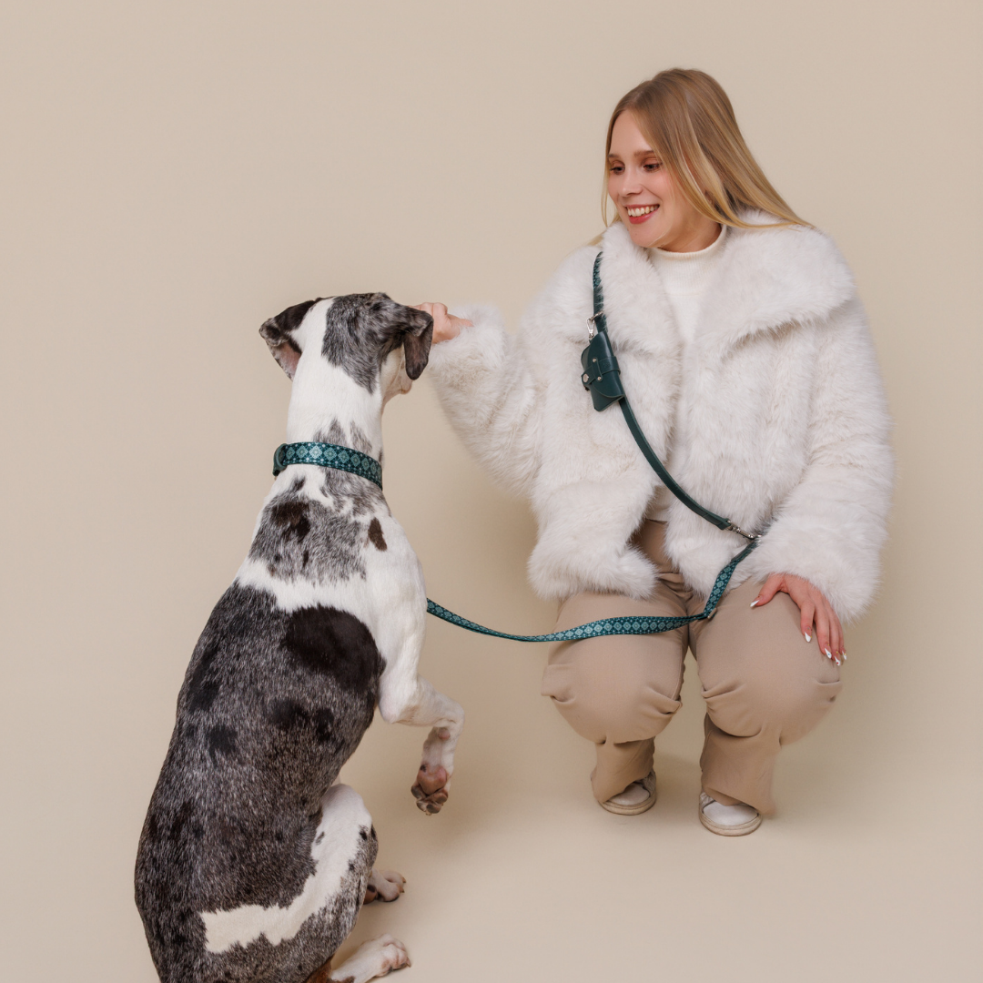 Multifunction Dog Leash - Forest Gems