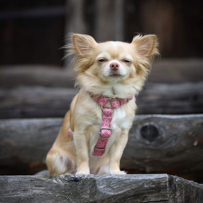 Dog Harness - Sicily
