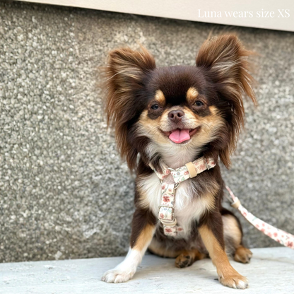 Dog Harness - Midsummer