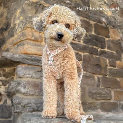 Dog Harness - Midsummer