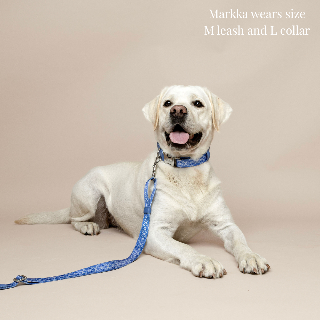 Dog Collar - Cotton Sky