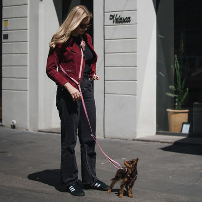 Multifunction Dog Leash - Sicily