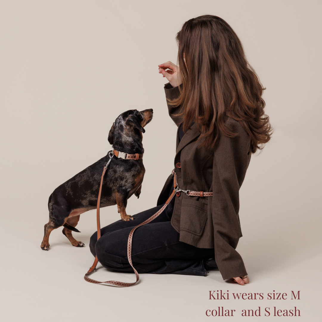 Multifunction leash - Timeless Mocha