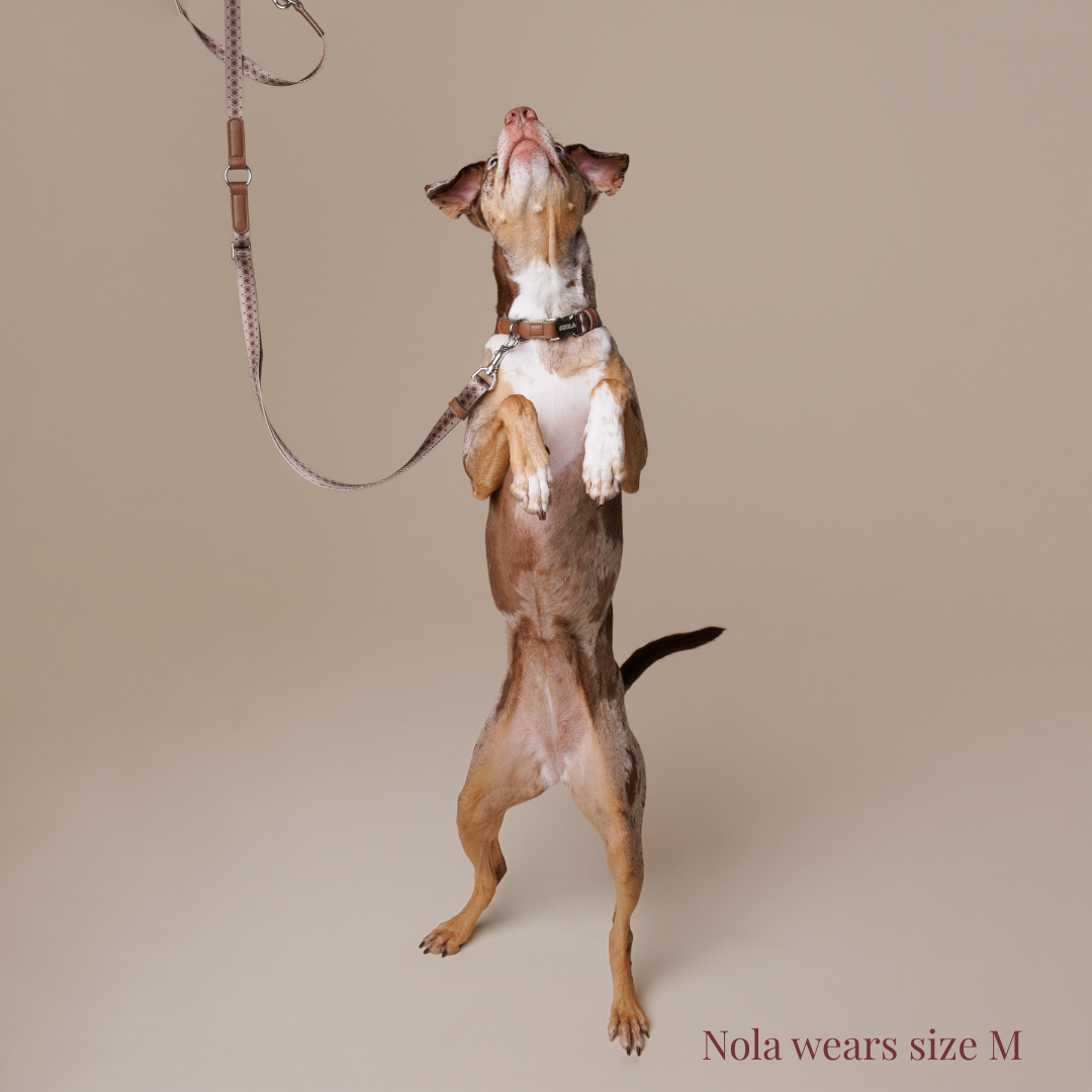 Multifunction leash - Timeless Mocha