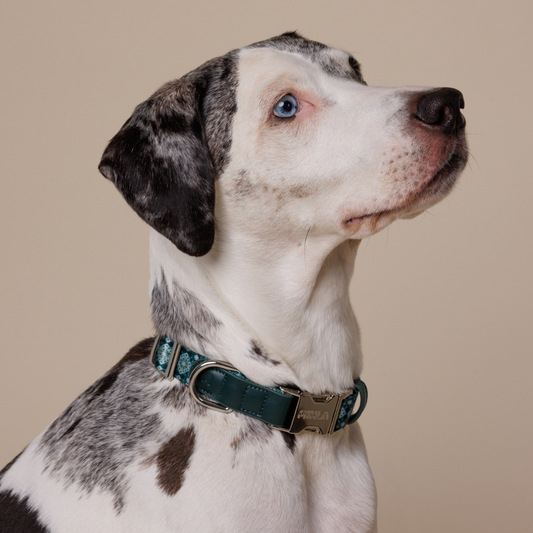 Dog Collar - Forest Gems