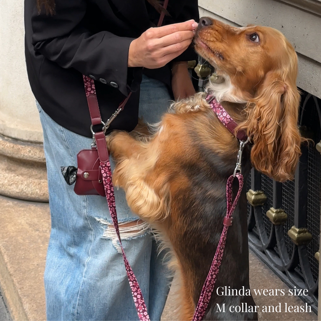 Dog Collar - Love in Bloom