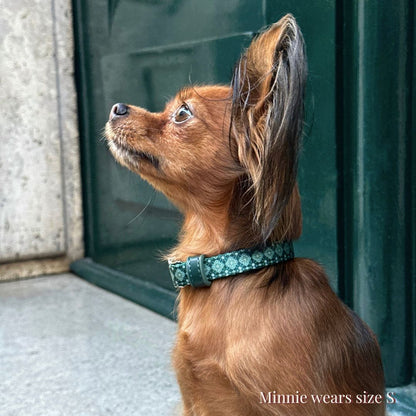 Dog Collar - Forest Gems