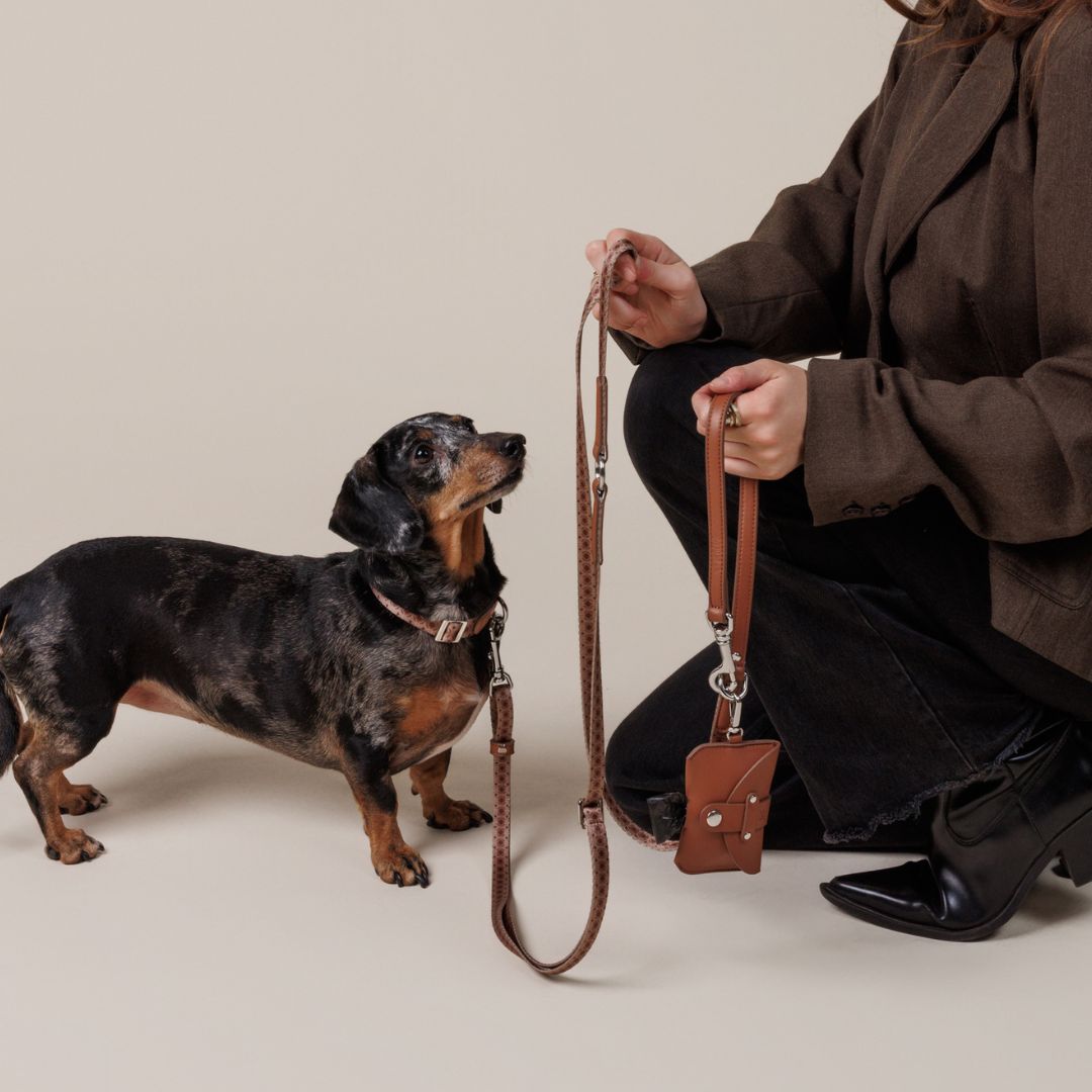 Poop Bag Holder Brown