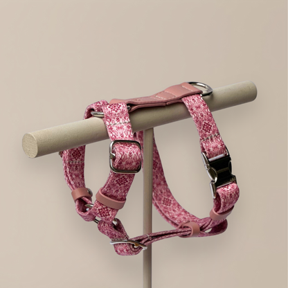 Koiran valjaat - Sicily