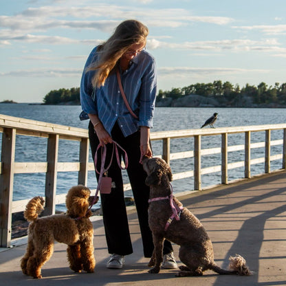 Multifunction Dog Leash - Sicily