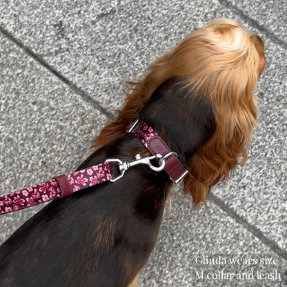 Dog Collar - Love in Bloom