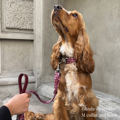 Dog Collar - Love in Bloom