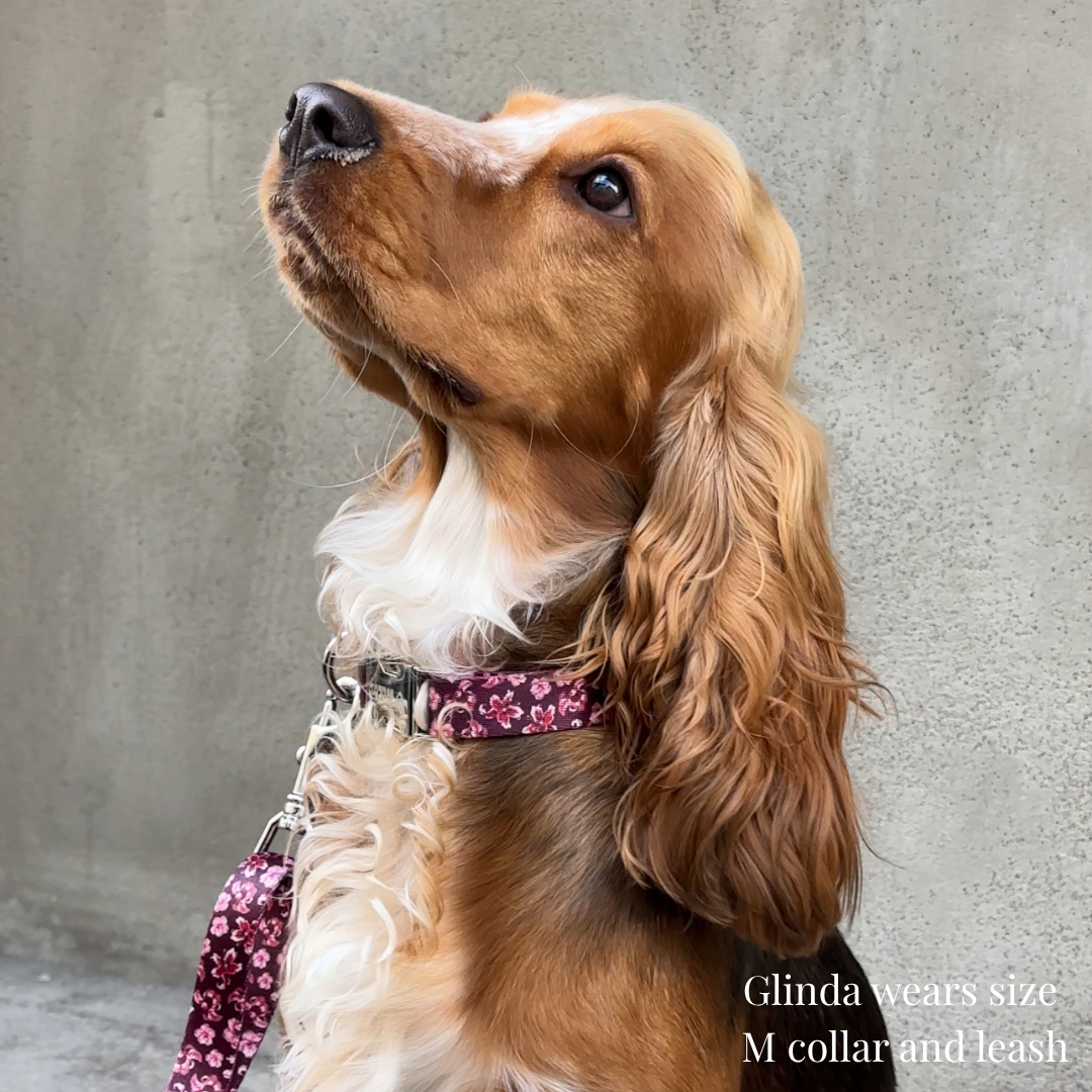 Dog Collar - Love in Bloom
