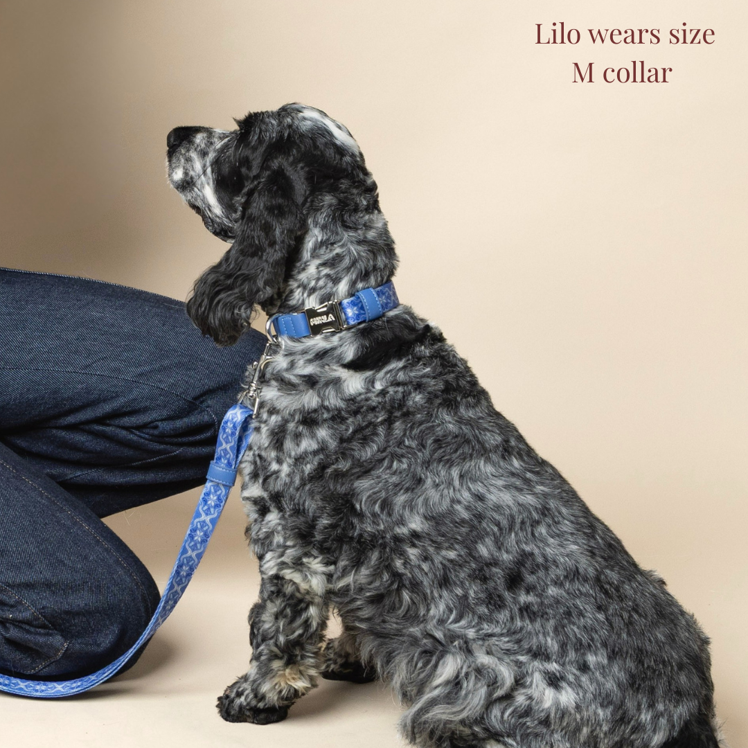 Dog Collar - Cotton Sky