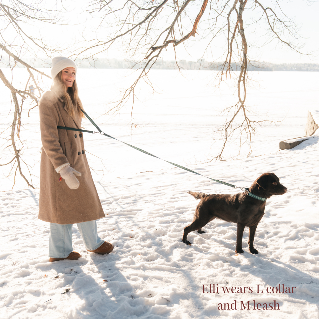 Multifunction Dog Leash - Forest Gems