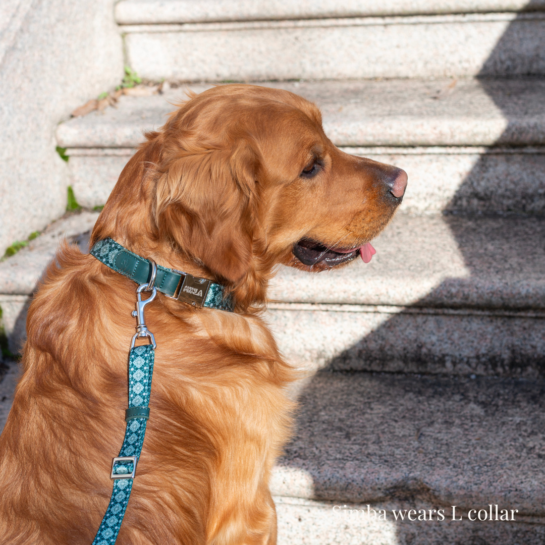 Koiran kaulapanta - Forest Gems