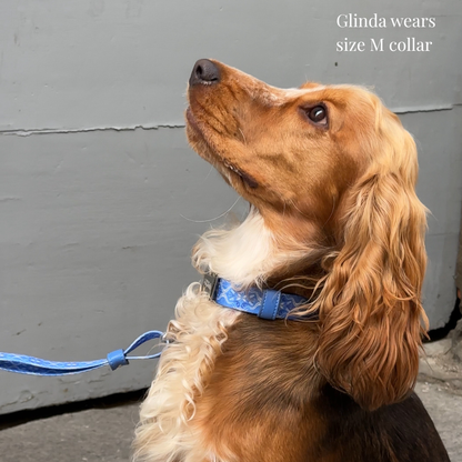 Dog Collar - Cotton Sky