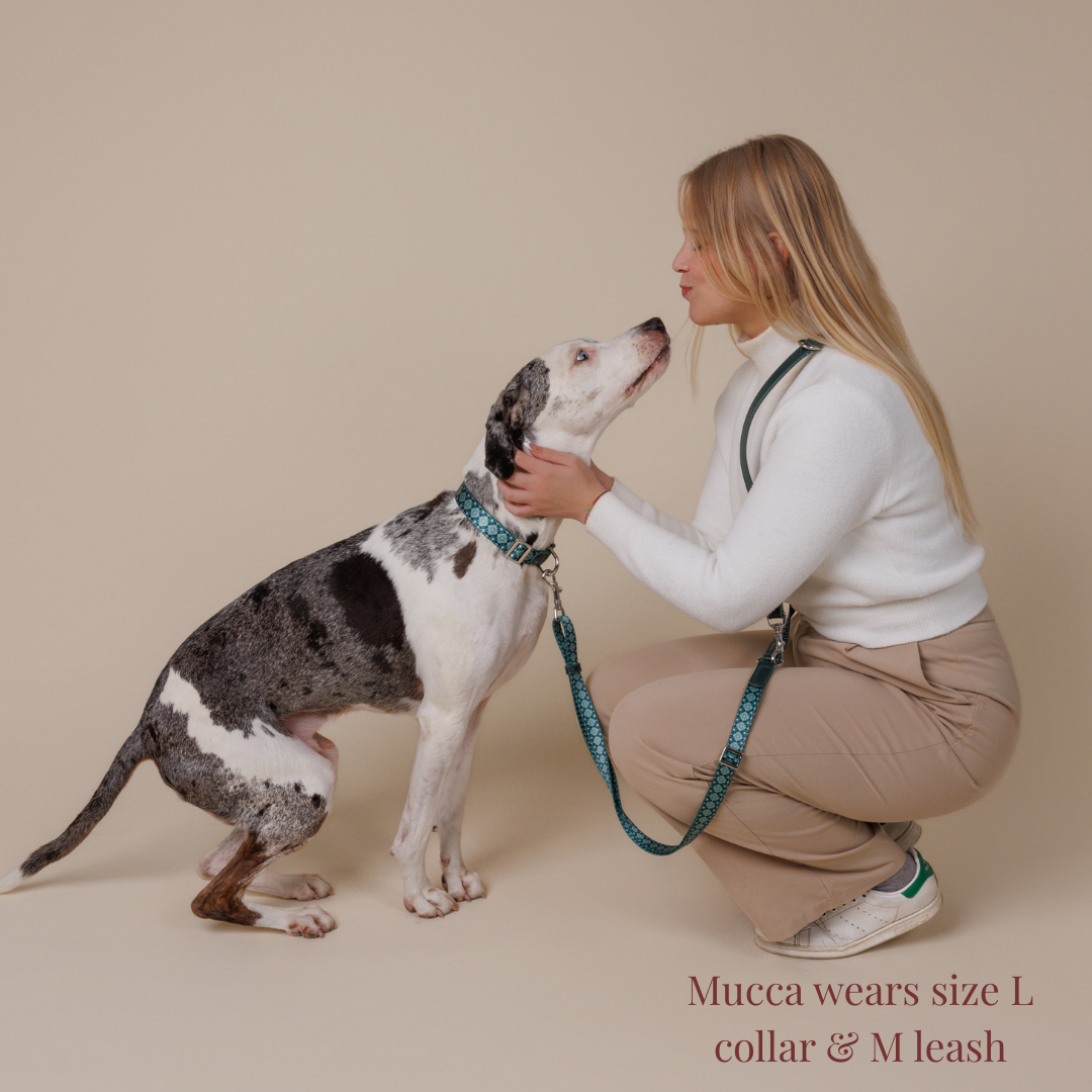 Multifunction Dog Leash - Forest Gems