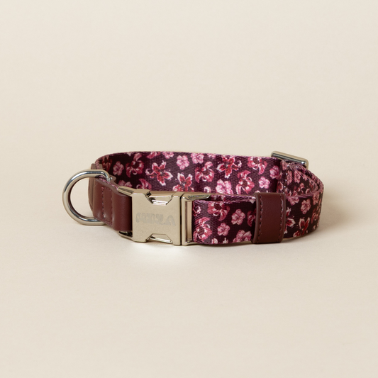 Dog Collar - Love in Bloom