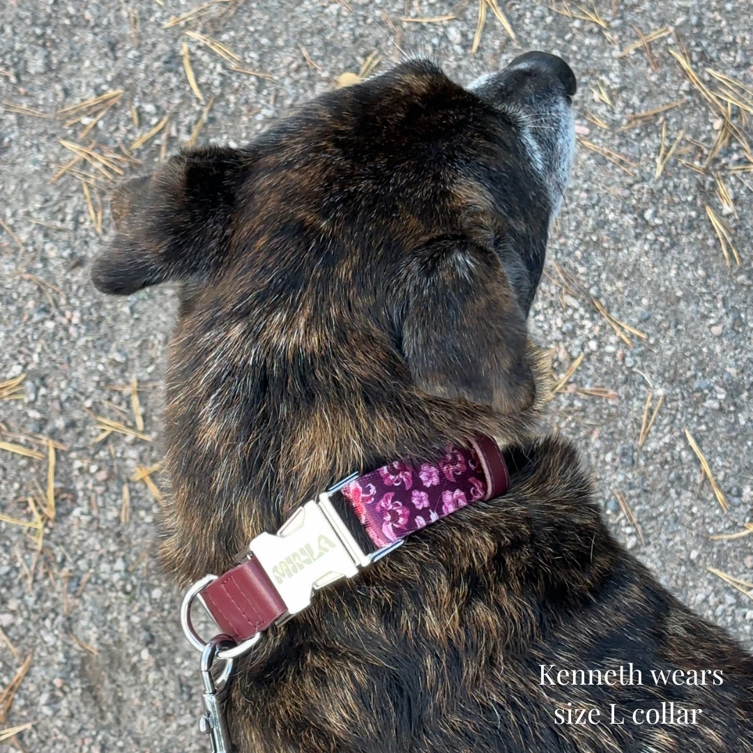 Dog Collar - Love in Bloom