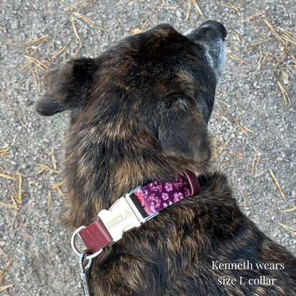 Dog Collar - Love in Bloom