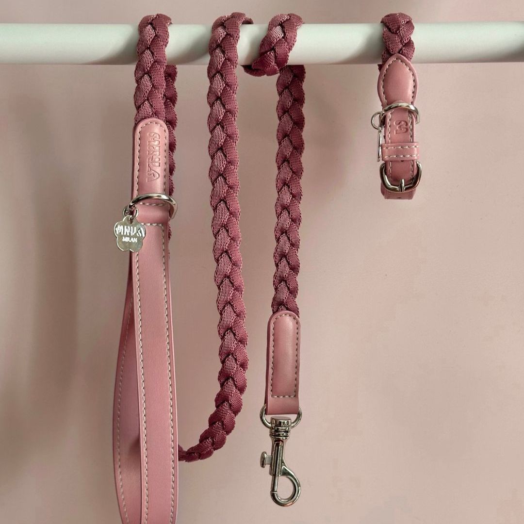 Braid Dog Collar - Petal