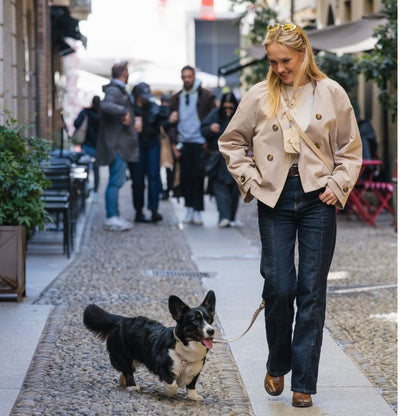 Multifunction Dog Leash - Midsummer