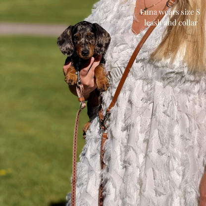 Multifunction leash - Timeless Mocha