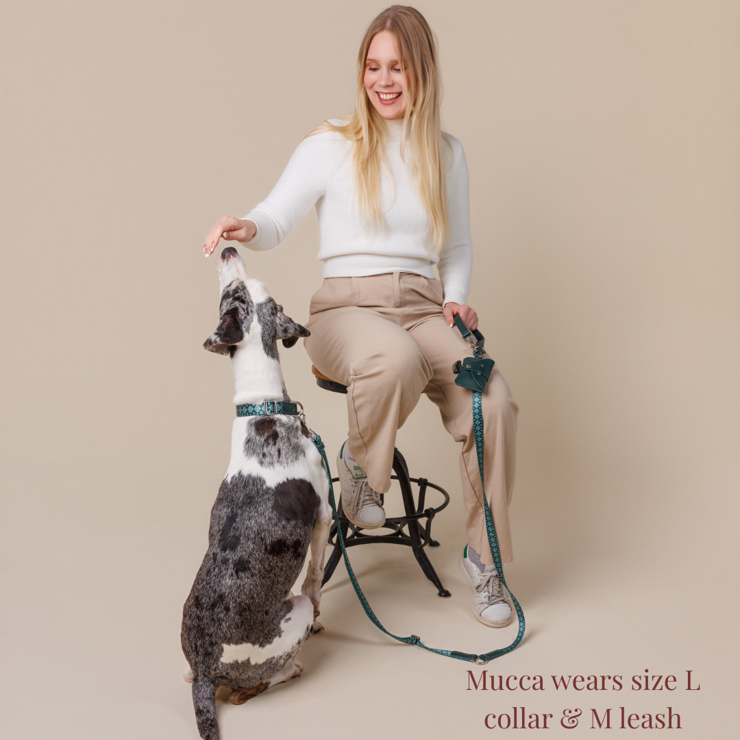 Dog Collar - Forest Gems