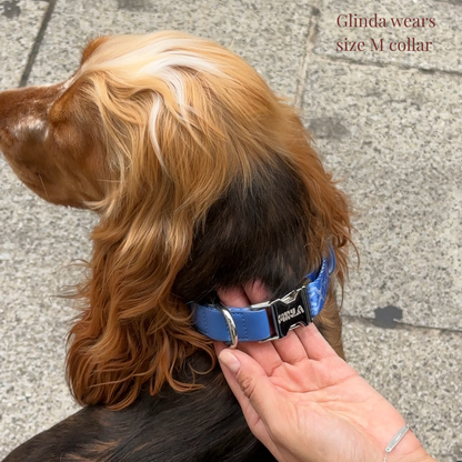 Dog Collar - Cotton Sky