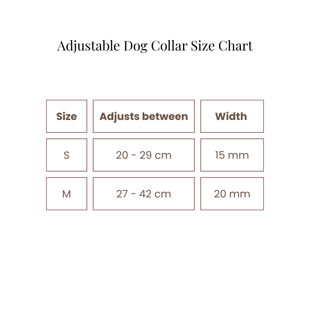 Koiran kaulapanta - Midsummer