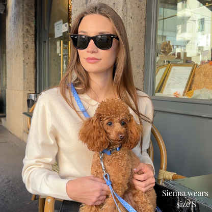 Dog Collar - Cotton Sky